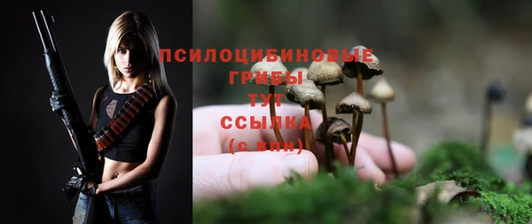 трава Армянск
