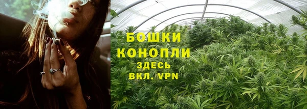 трава Армянск