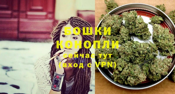 молекула духа Аркадак