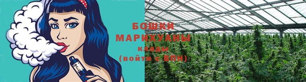 трава Армянск