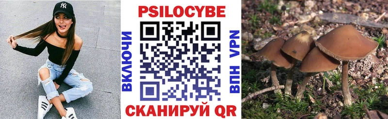 Галлюциногенные грибы прущие грибы Арсеньев